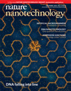 Nature Nanotechnology杂志封面